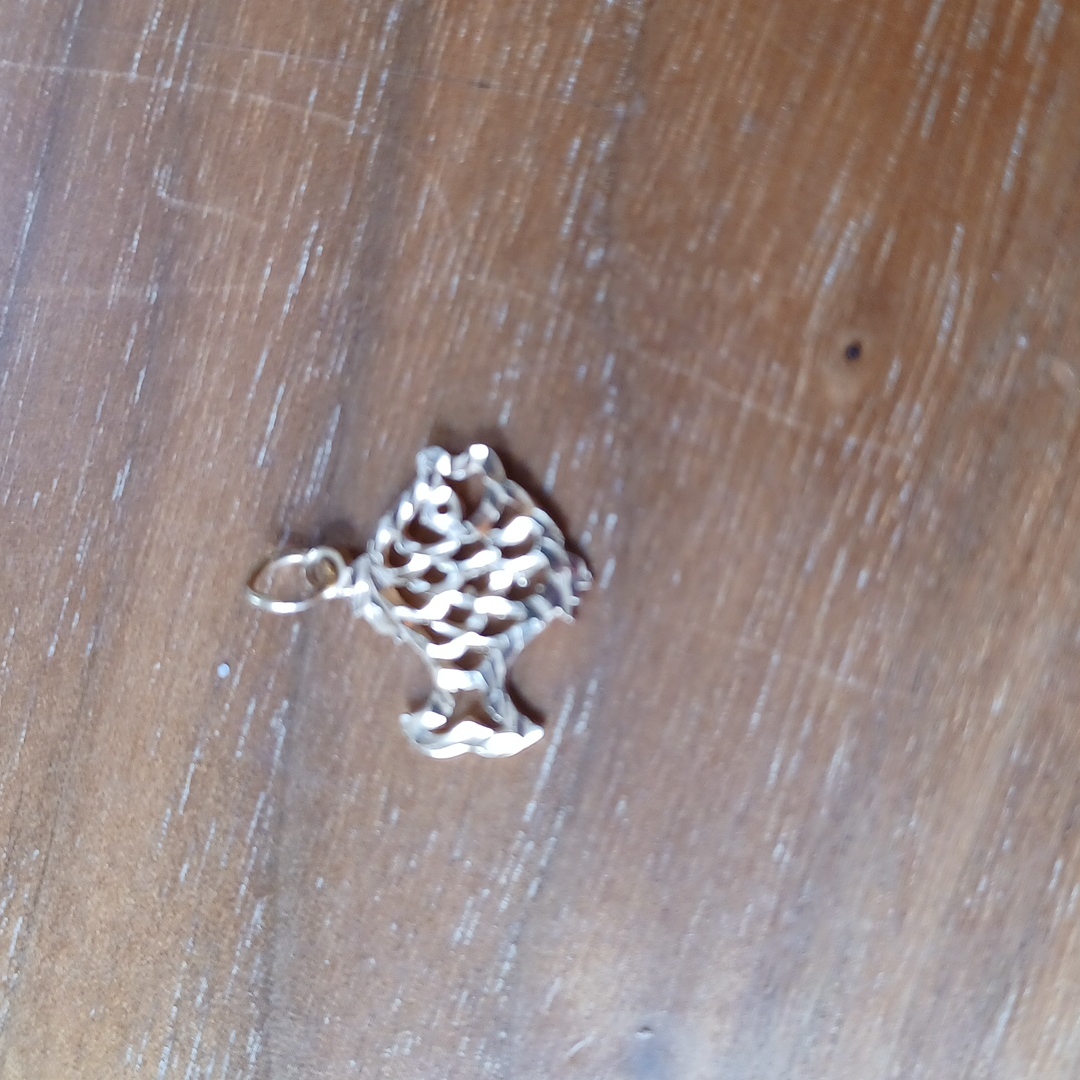 10 Karat Gold Fish Charm